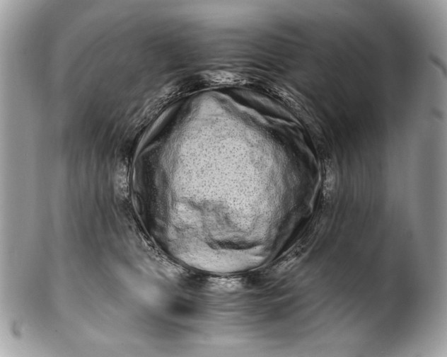 X0000100880469200807071131