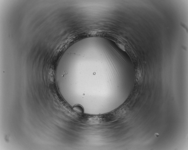 X0000100880470200807071131