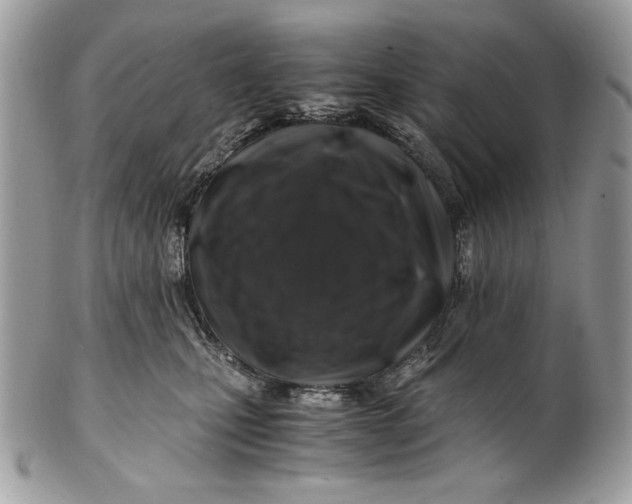 X0000100880471200807071131