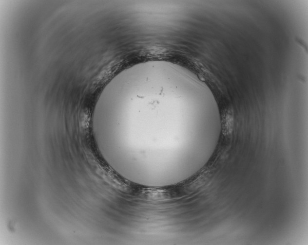 X0000100880472200807071131