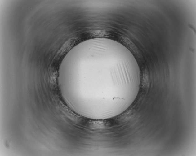 X0000100880473200807071131