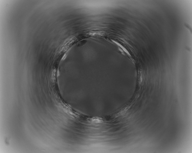 X0000100880475200807071131