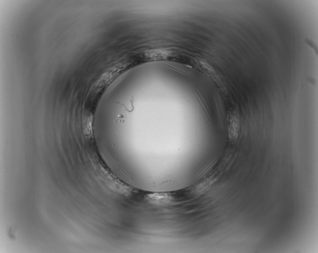 X0000100880477200807071131