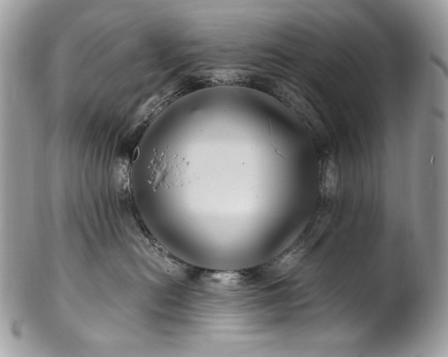 X0000100880478200807071131