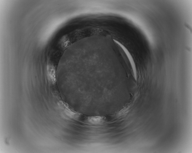 X0000100880479200807071131