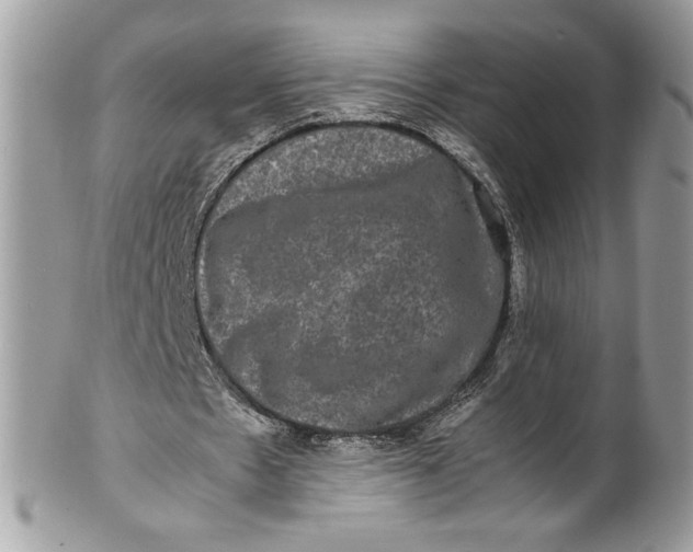 X0000100880481200807071130