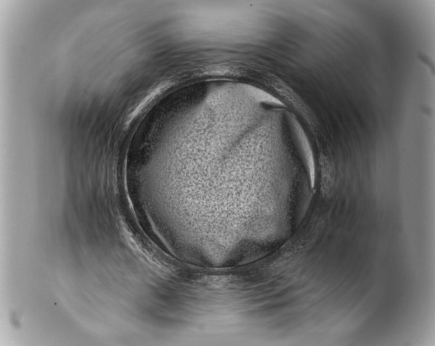 X0000100880482200807071130