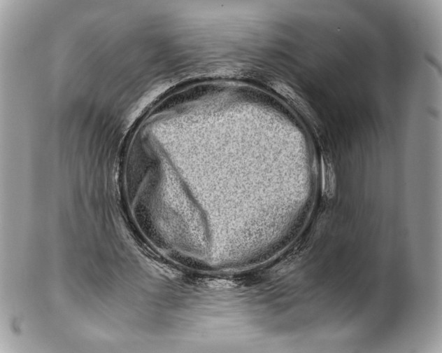 X0000100880483200807071130