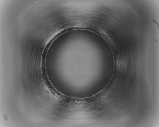 X0000100880484200807071130