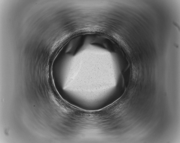 X0000100880486200807071130