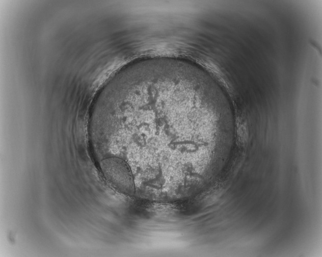 X0000100880487200807071130