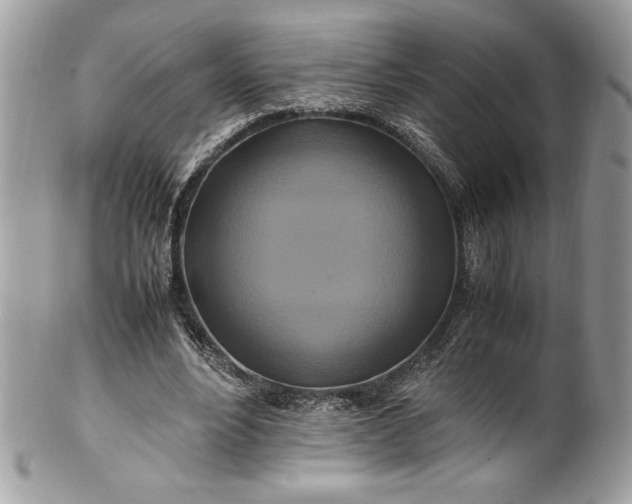 X0000100880488200807071130