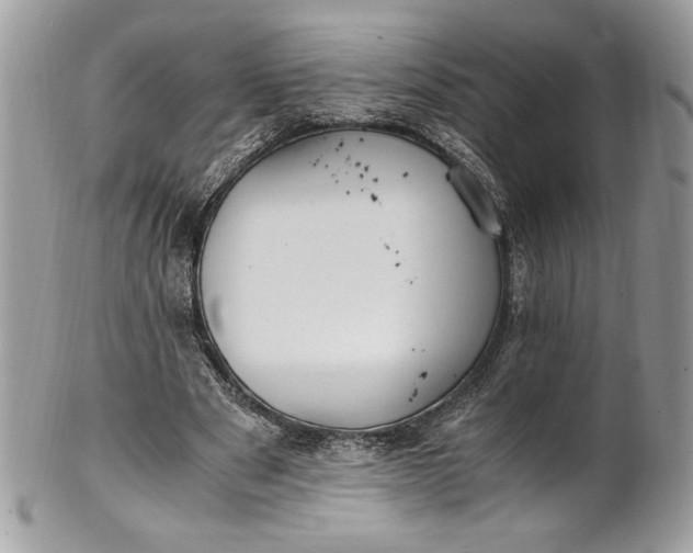 X0000100880489200807071130