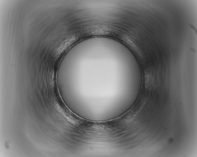 X0000100880490200807071130