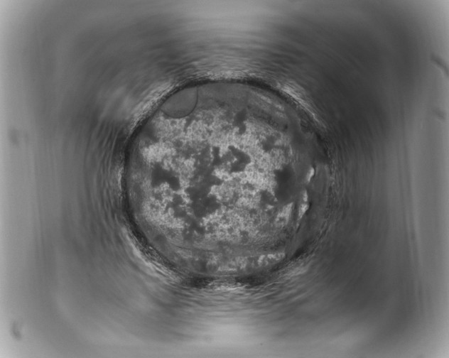 X0000100880491200807071130