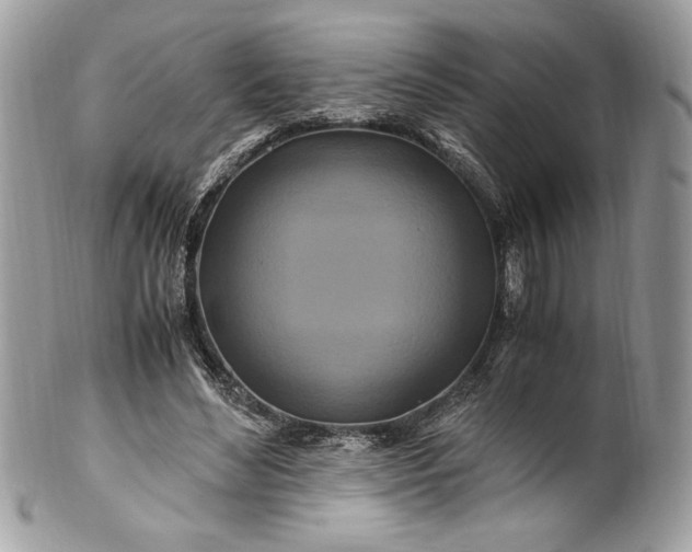 X0000100880492200807071130