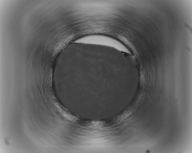 X0000100880493200807071130