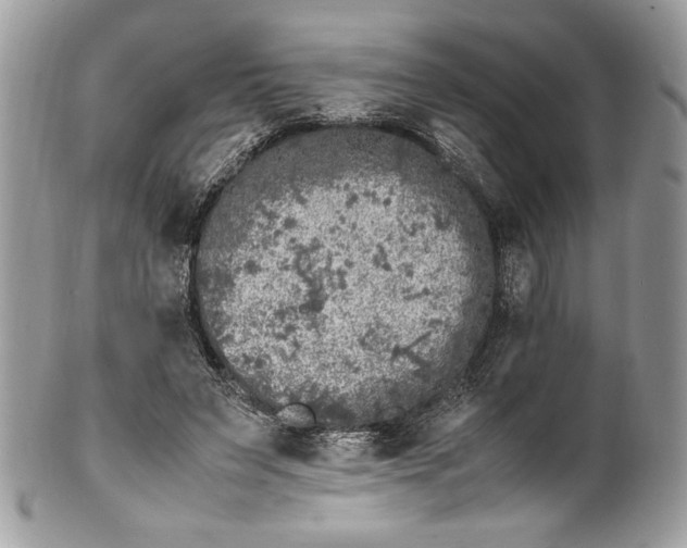 X0000100880495200807071130