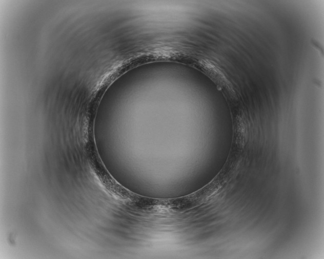 X0000100880496200807071130