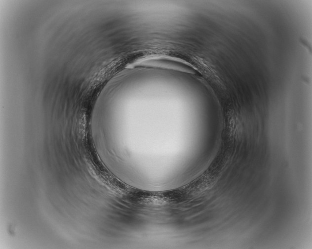 X0000100880498200807071130