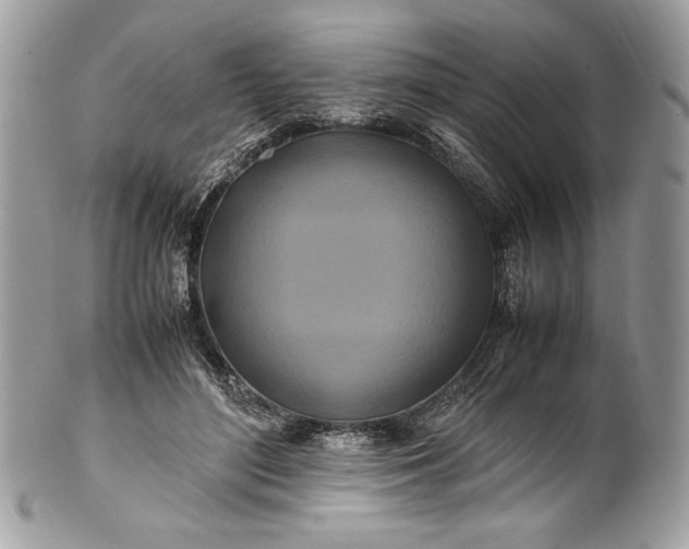 X0000100880500200807071130