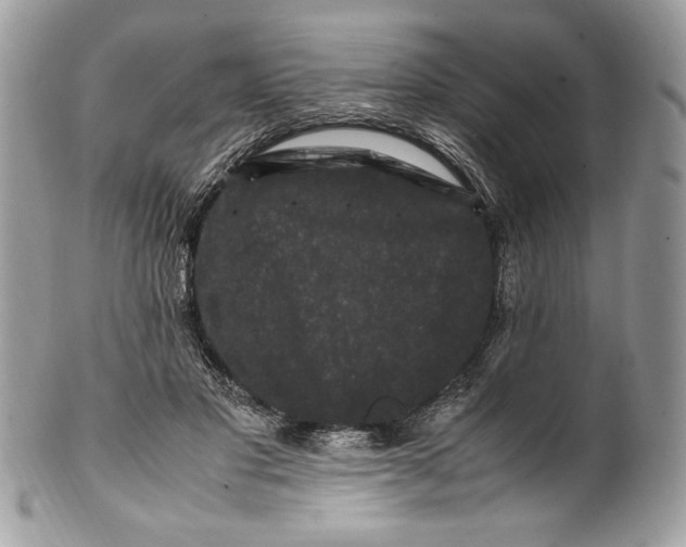 X0000100880501200807071130