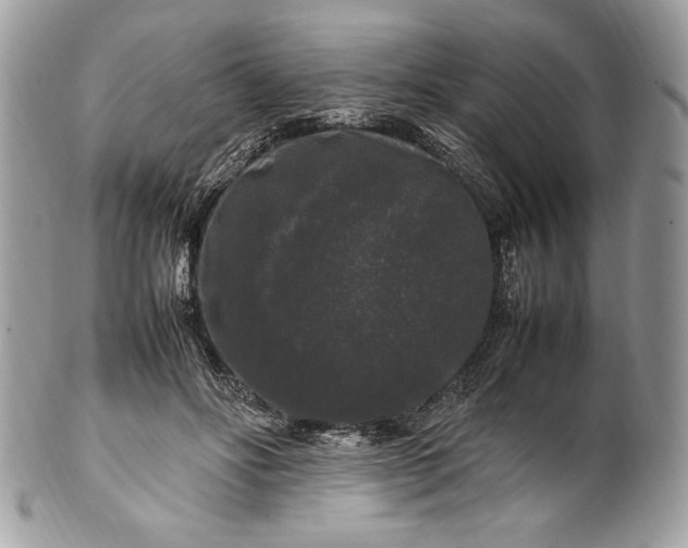 X0000100880502200807071130