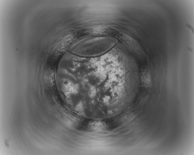 X0000100880503200807071130