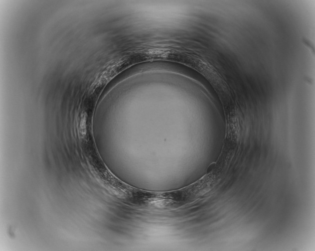 X0000100880504200807071130