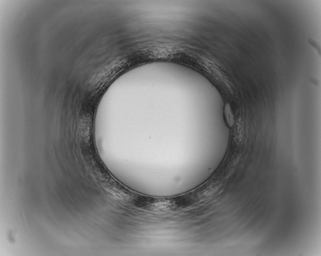 X0000100880505200807071130