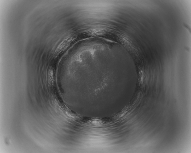 X0000100880506200807071130