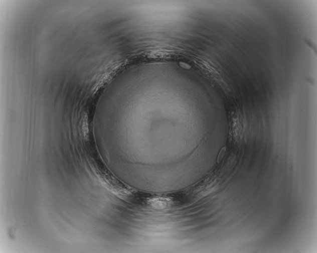 X0000100880508200807071130