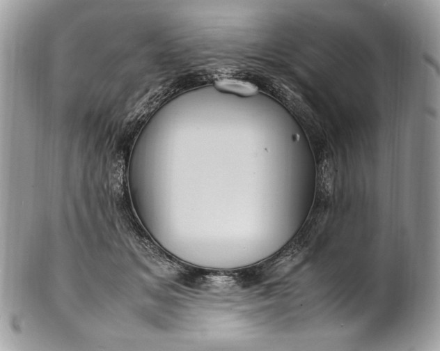 X0000100880509200807071130