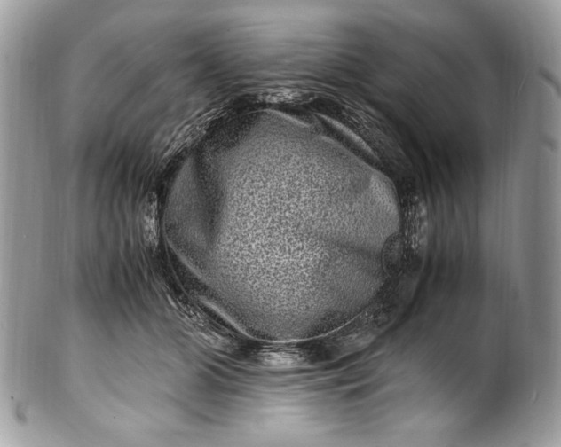 X0000100880510200807071130