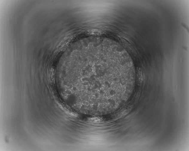 X0000100880511200807071130