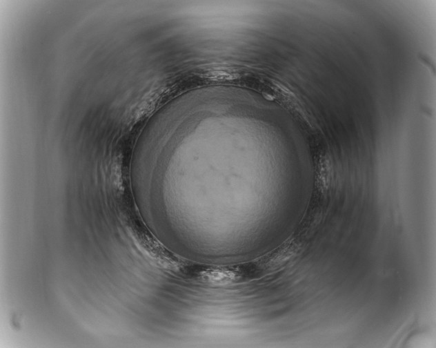 X0000100880512200807071130