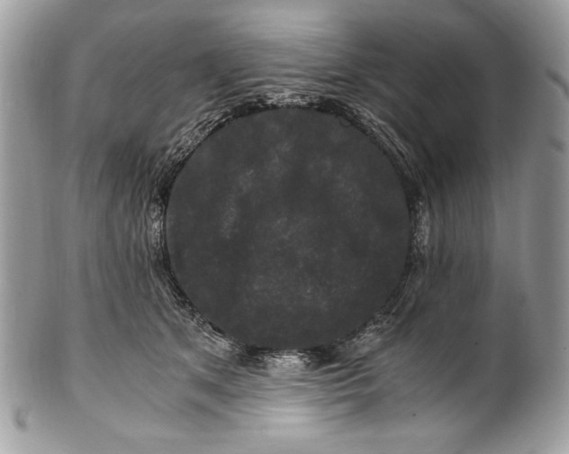 X0000100880513200807071130