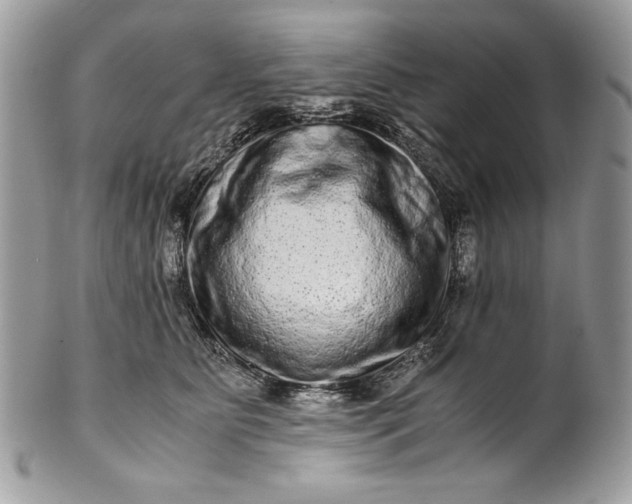 X0000100880515200807071130