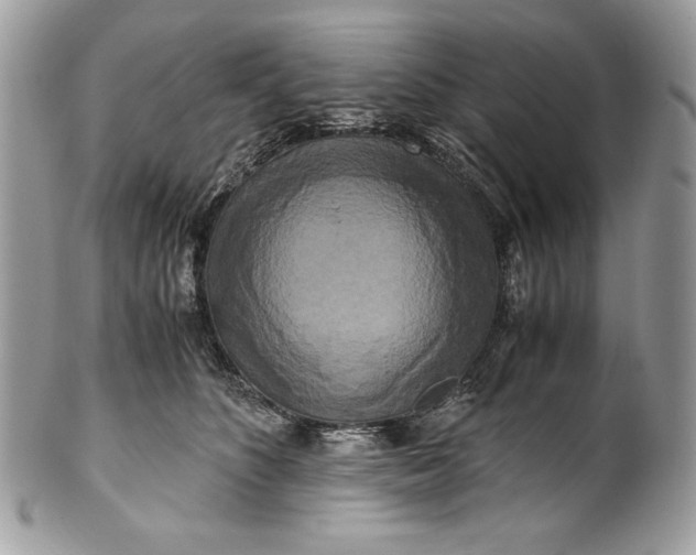 X0000100880516200807071130