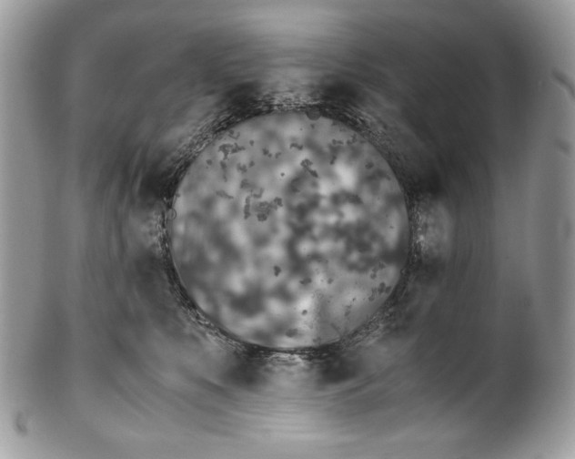 X0000100880519200807071129