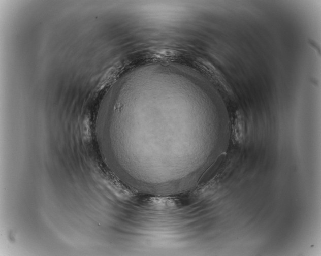 X0000100880520200807071129