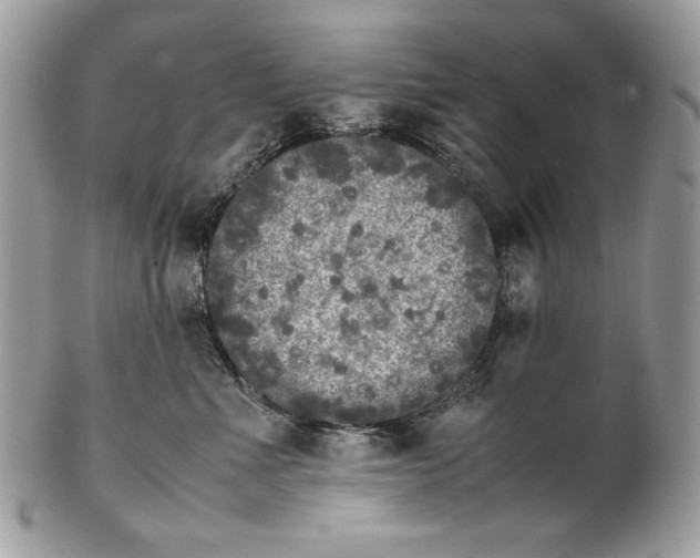 X0000100880523200807071129