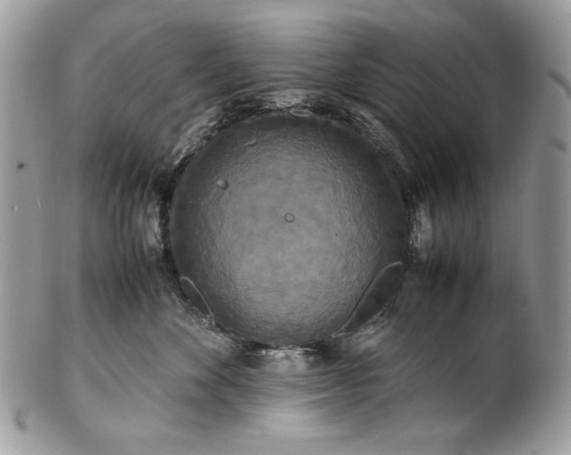 X0000100880524200807071129