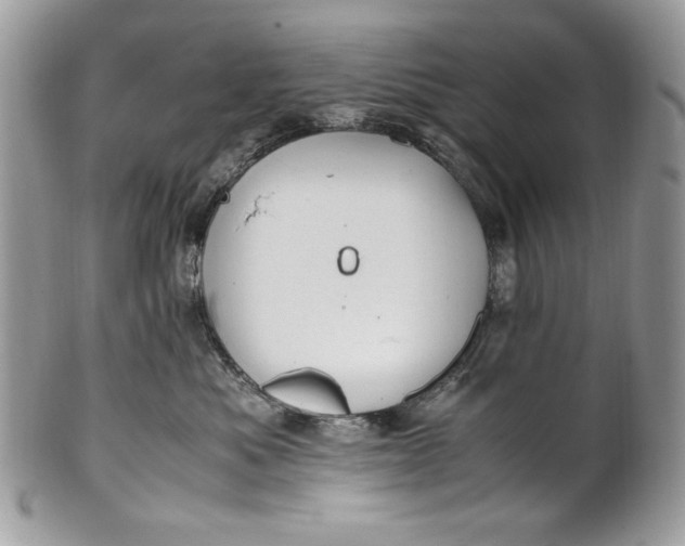 X0000100880525200807071129