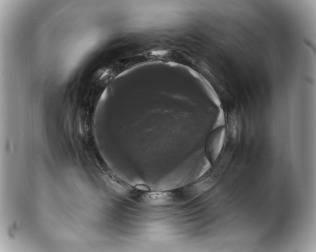 X0000100880526200807071129