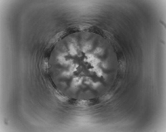 X0000100880527200807071129