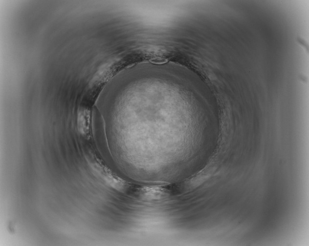 X0000100880528200807071129