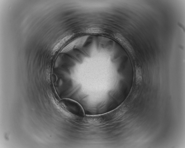 X0000100880533200807071129