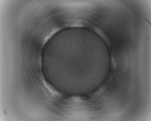 X0000100880534200807071129