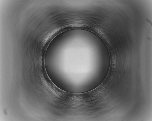 X0000100880535200807071129